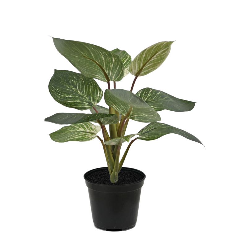 Philodendron Birkin kunstplant 30cm in pot