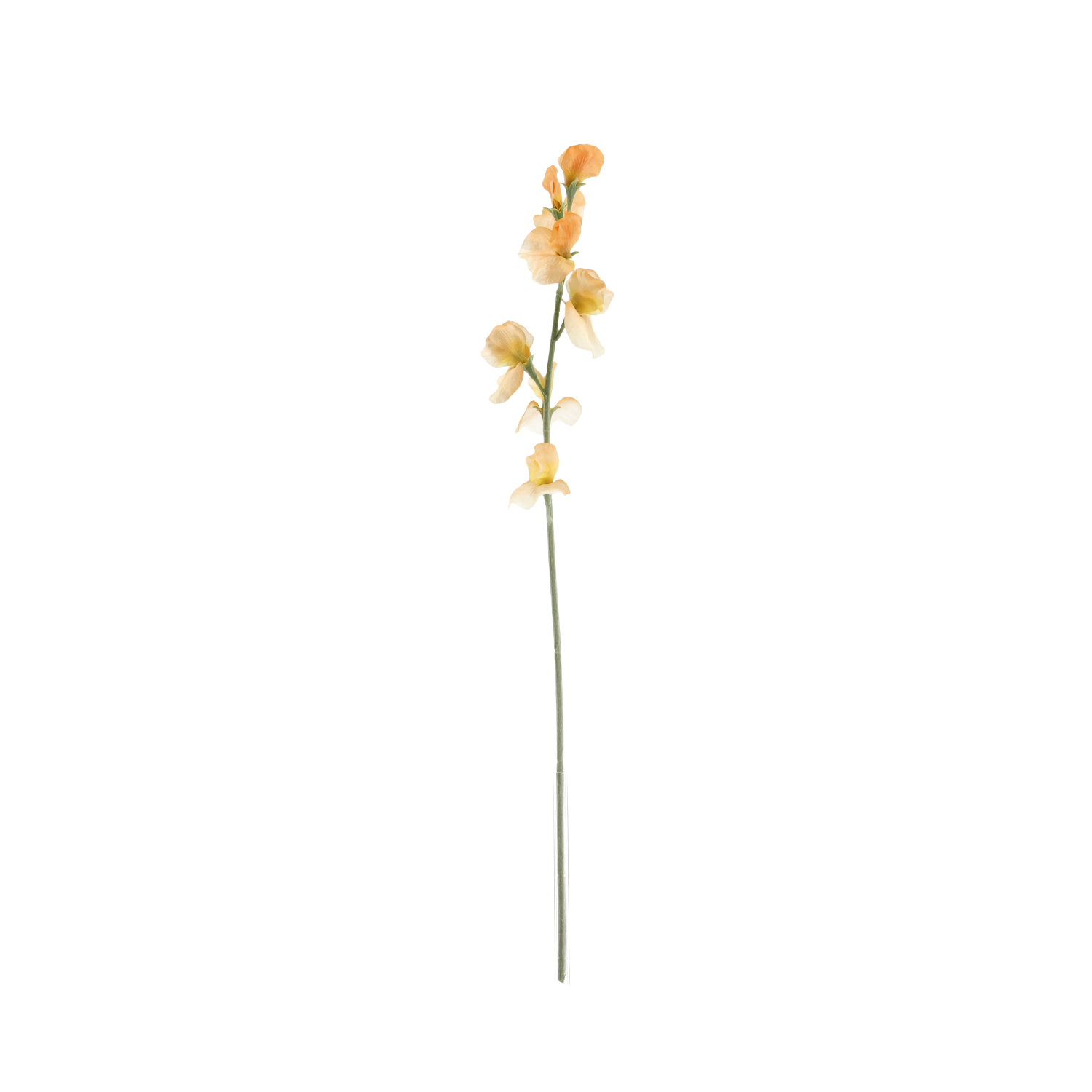 Lathyrus Kunsttak 64cm Zalm