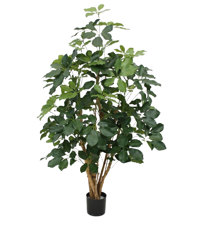 Schefflera Exotica kunstplant 120cm