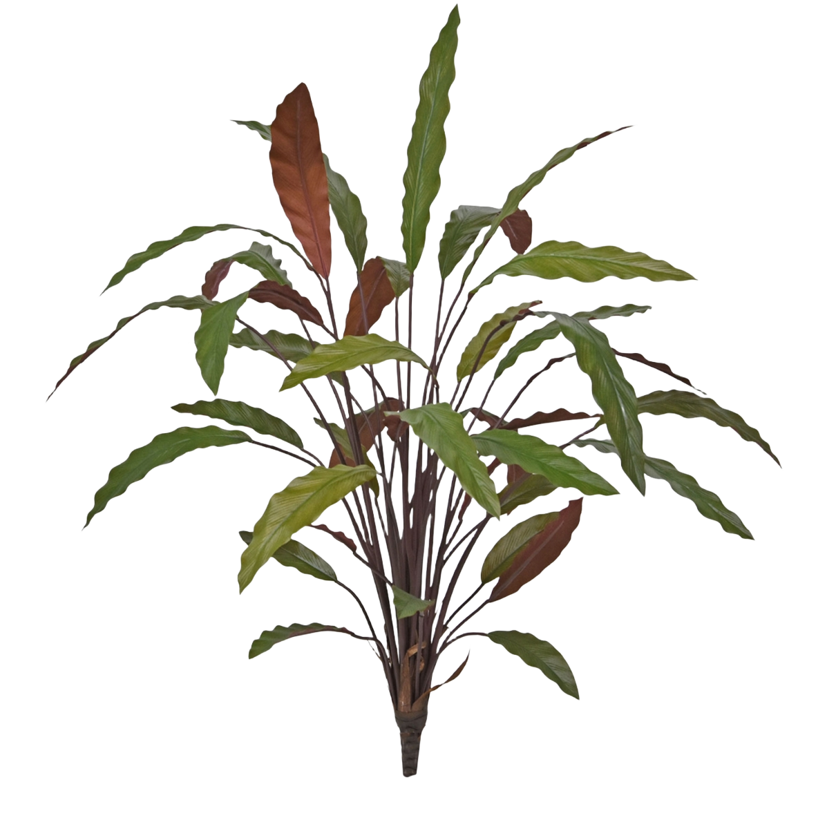 Calathea 75cm Kunstplant Groen/rood