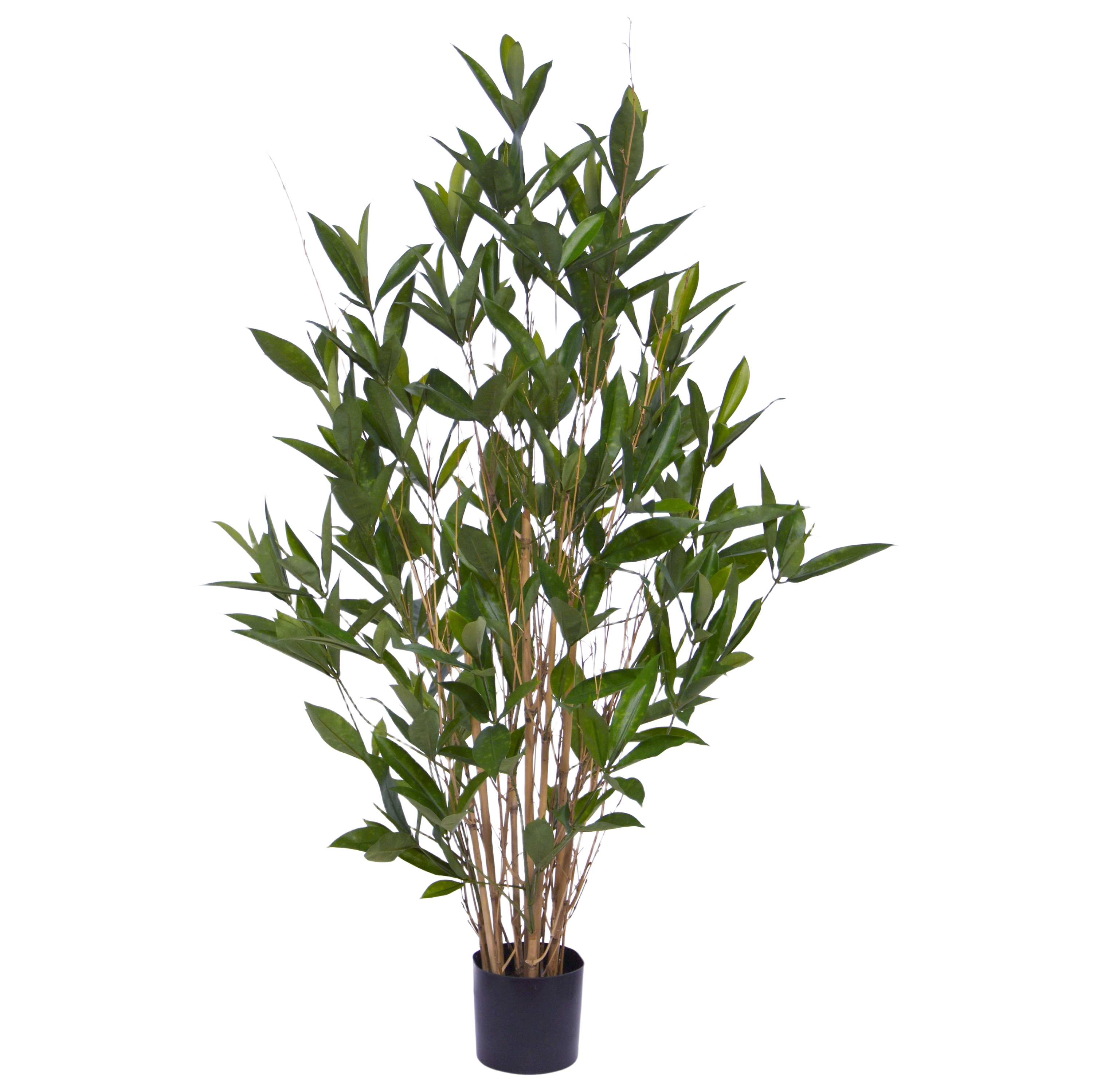 Draceana Surculosa kunstplant 110cm