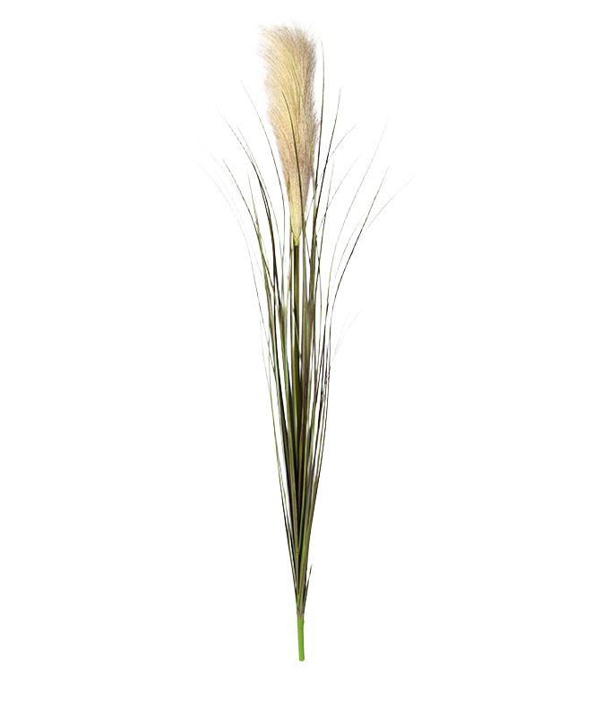 Pampas kunstgras 95cm - creme