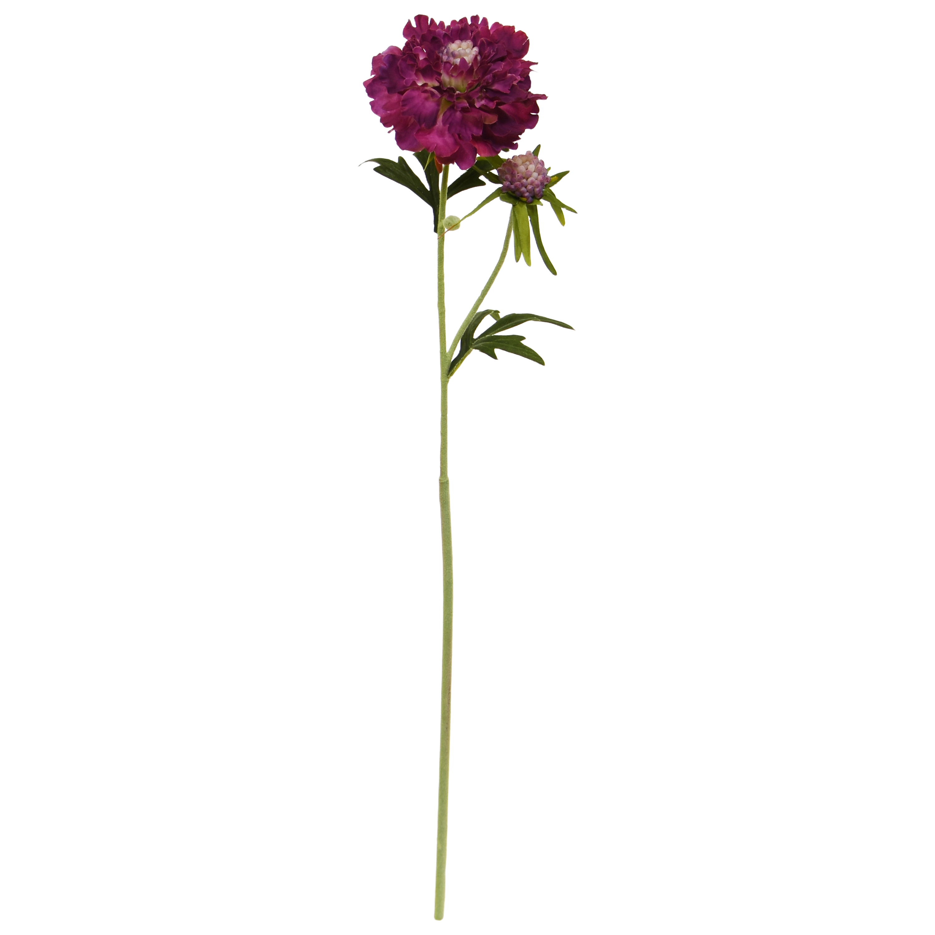 Scabiosa Kunstbloem 57cm Burgundy