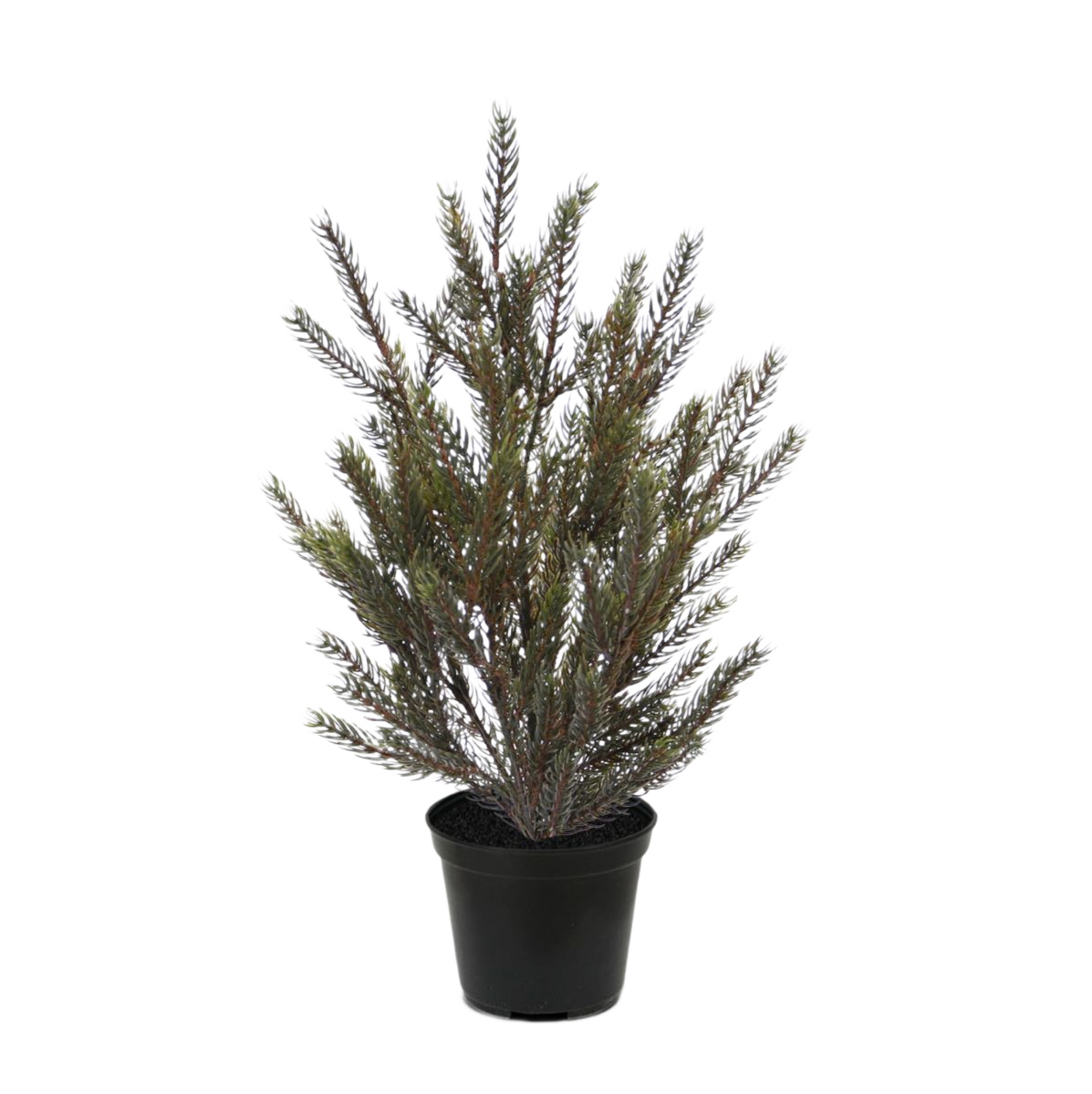 Picea Kunst Kerstboompje 50 cm in 12cm kweekpot