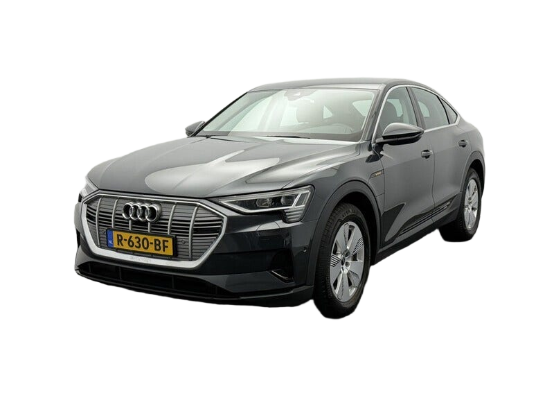 Audi e tron occasion