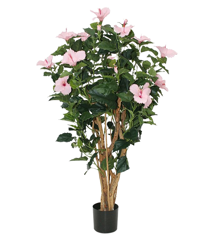 Hibiscus deluxe 100cm - roze