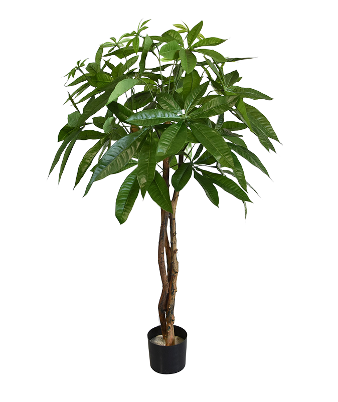 Pachira bal kunstplant op stam 75cm