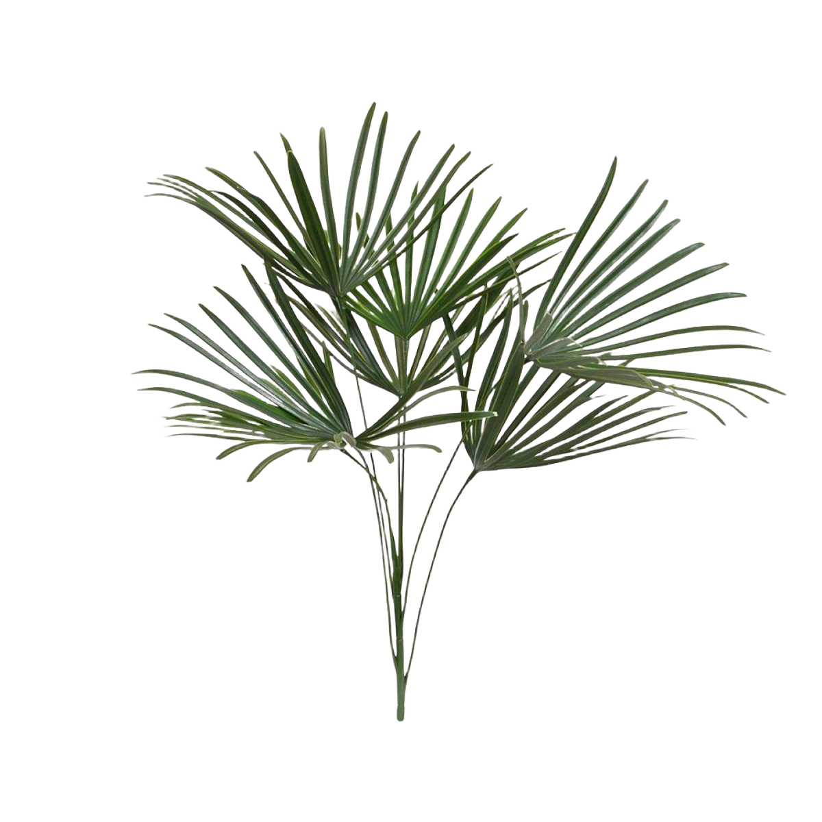 Raphis kunstplant 60cm - UV bestendig