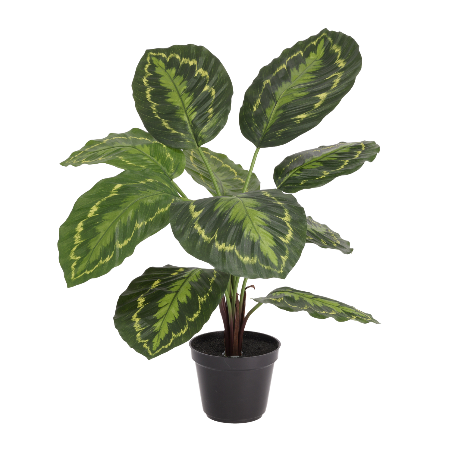 Calathea Roseopicta kunstplant 50cm in kweekpot