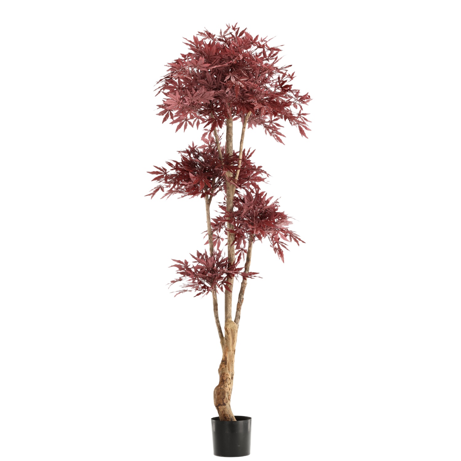 Japanse Acer Kunstbonsai Deluxe 210cm Burgundy