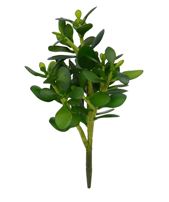 Crassula kunstplant 30cm