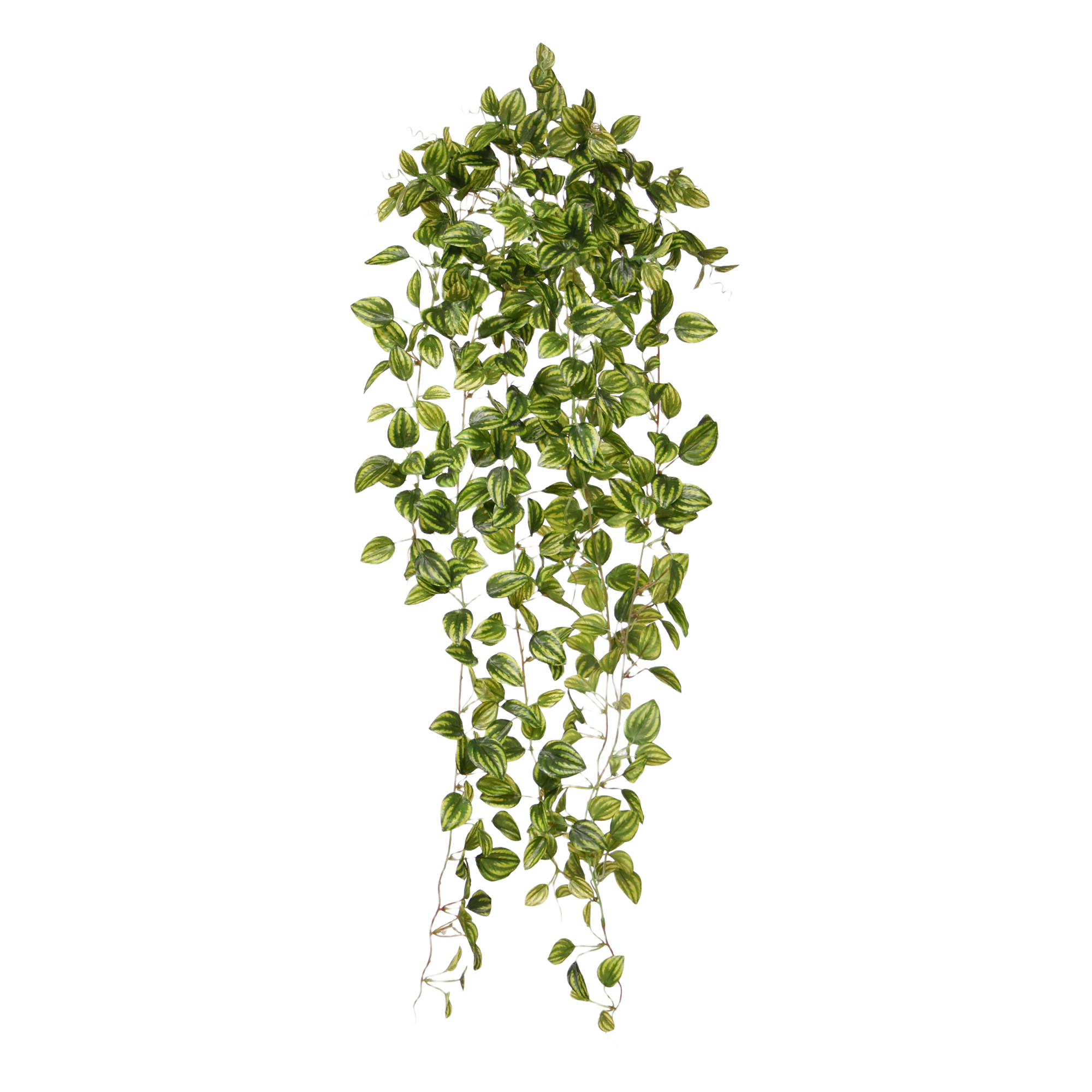 Peperomia Kunsthangplant bont 90cm