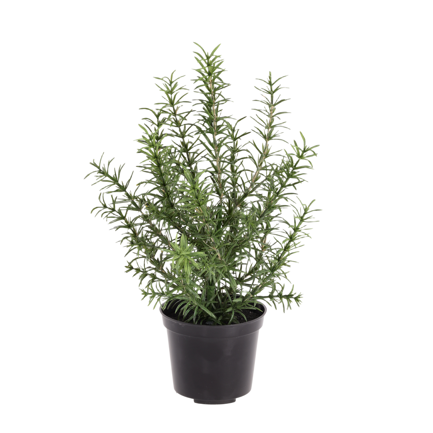 Rozemarijn kunstplant 35cm boeket in kweekpot
