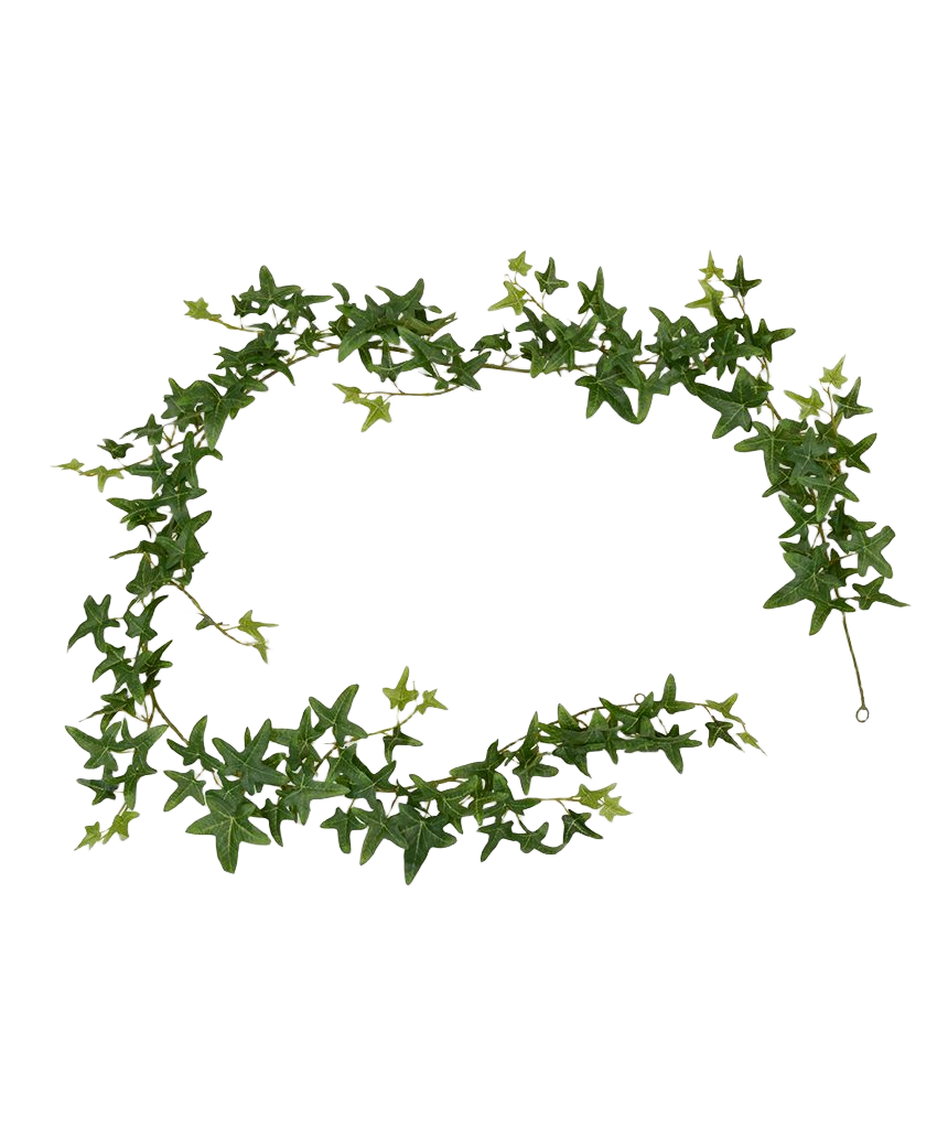 Ster Hedera kunst Guirlande 180cm - groen