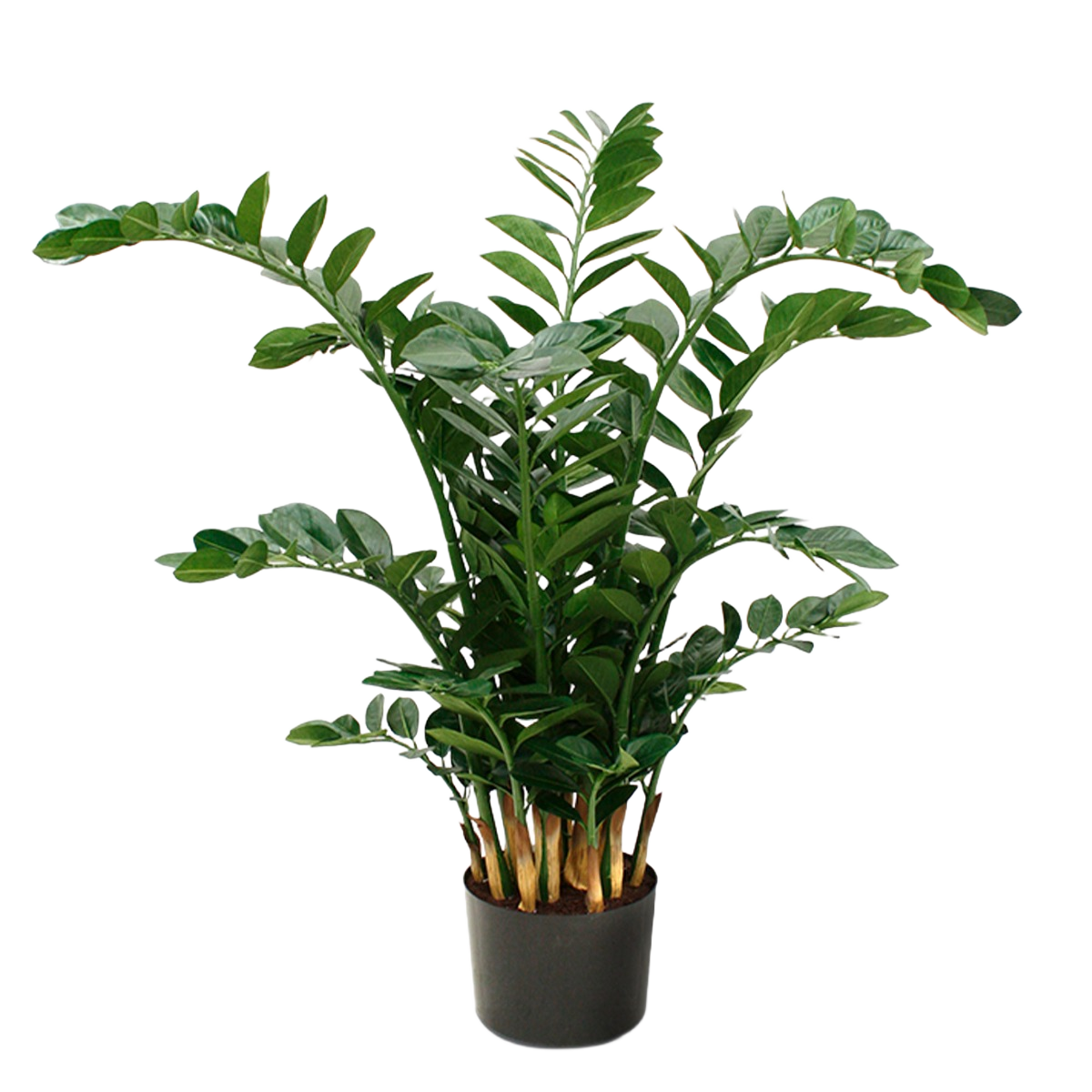 Zamioculcas XL kunstplant 120cm