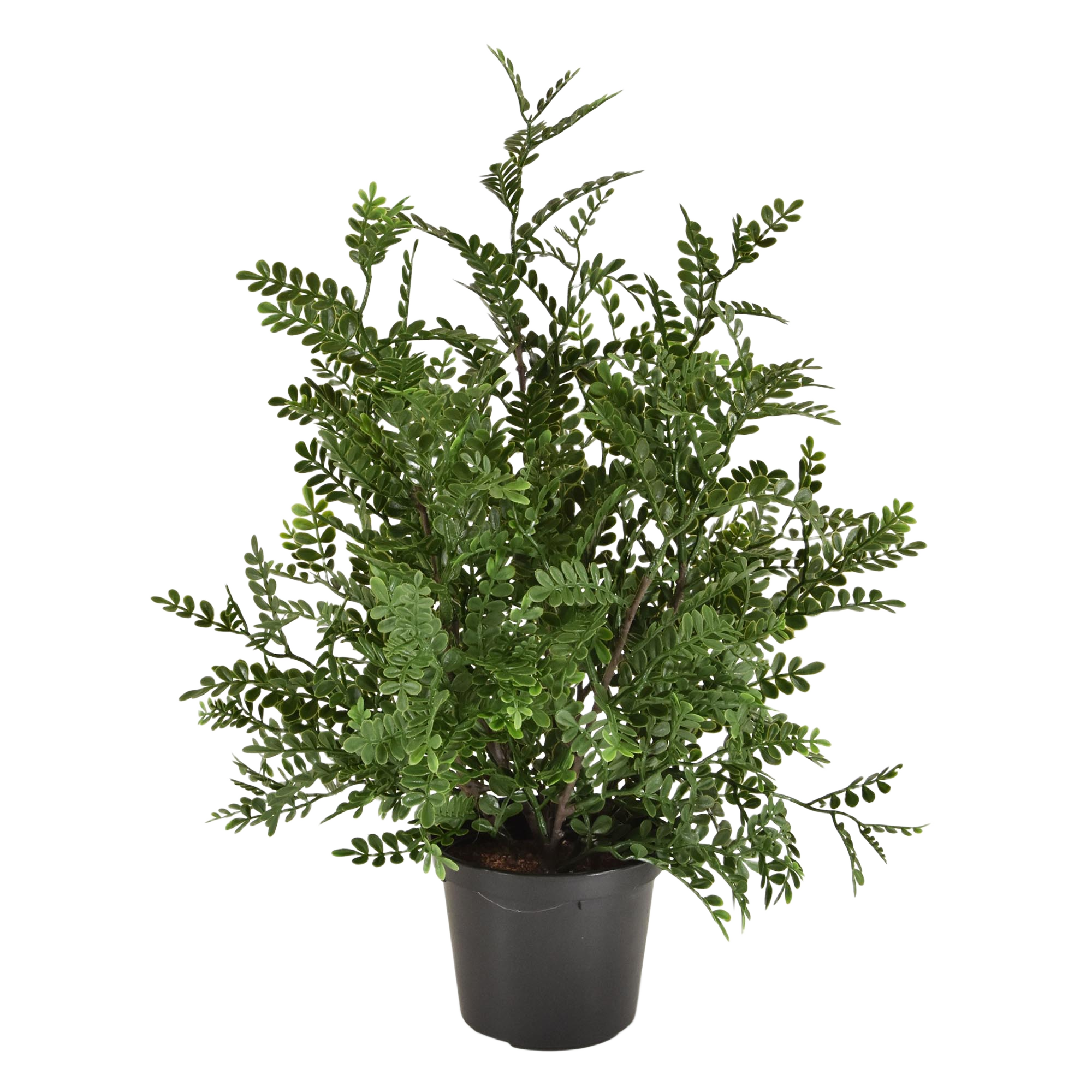 Robinia Acacia kunstplant 40cm