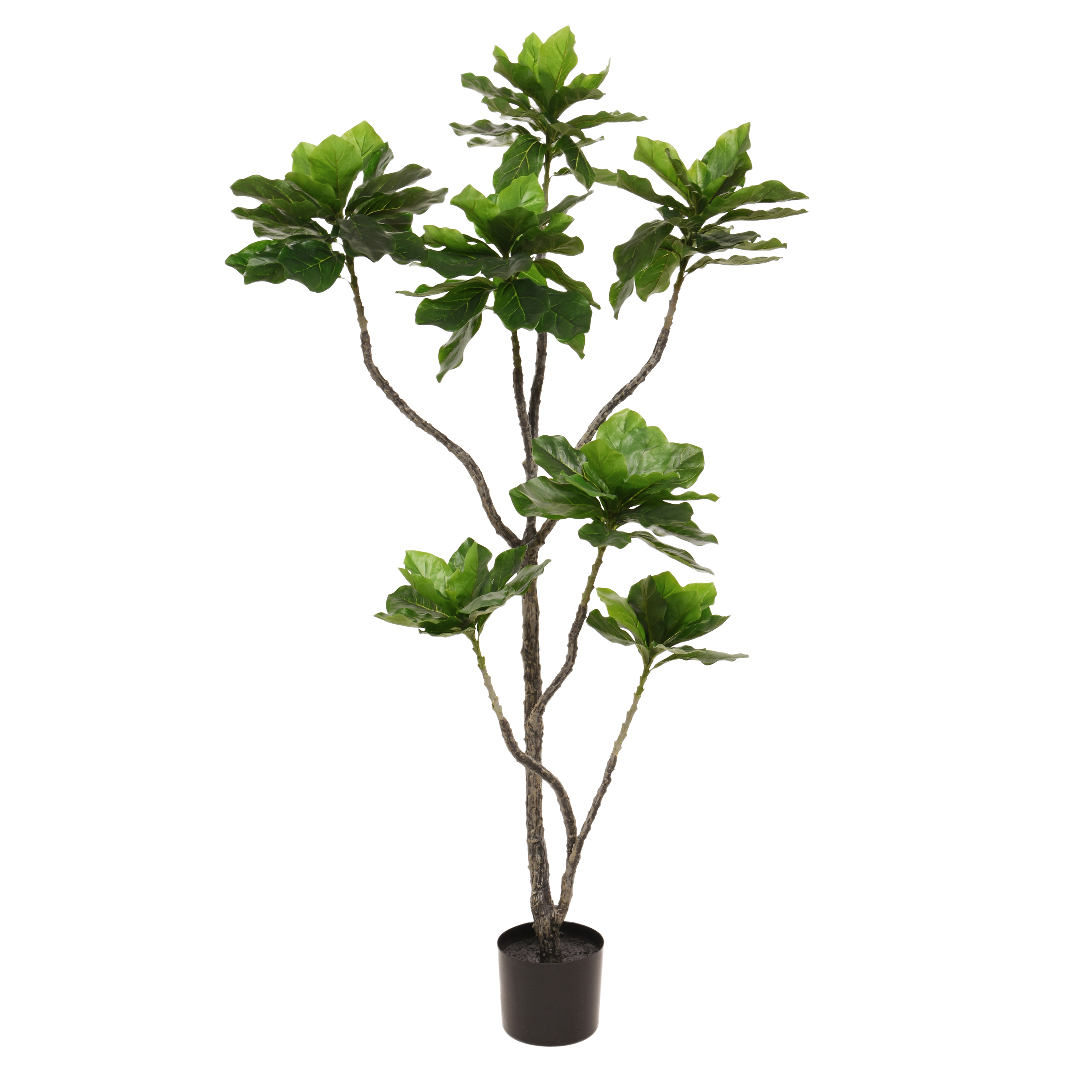 Heliotropium Kunstplant 155cm