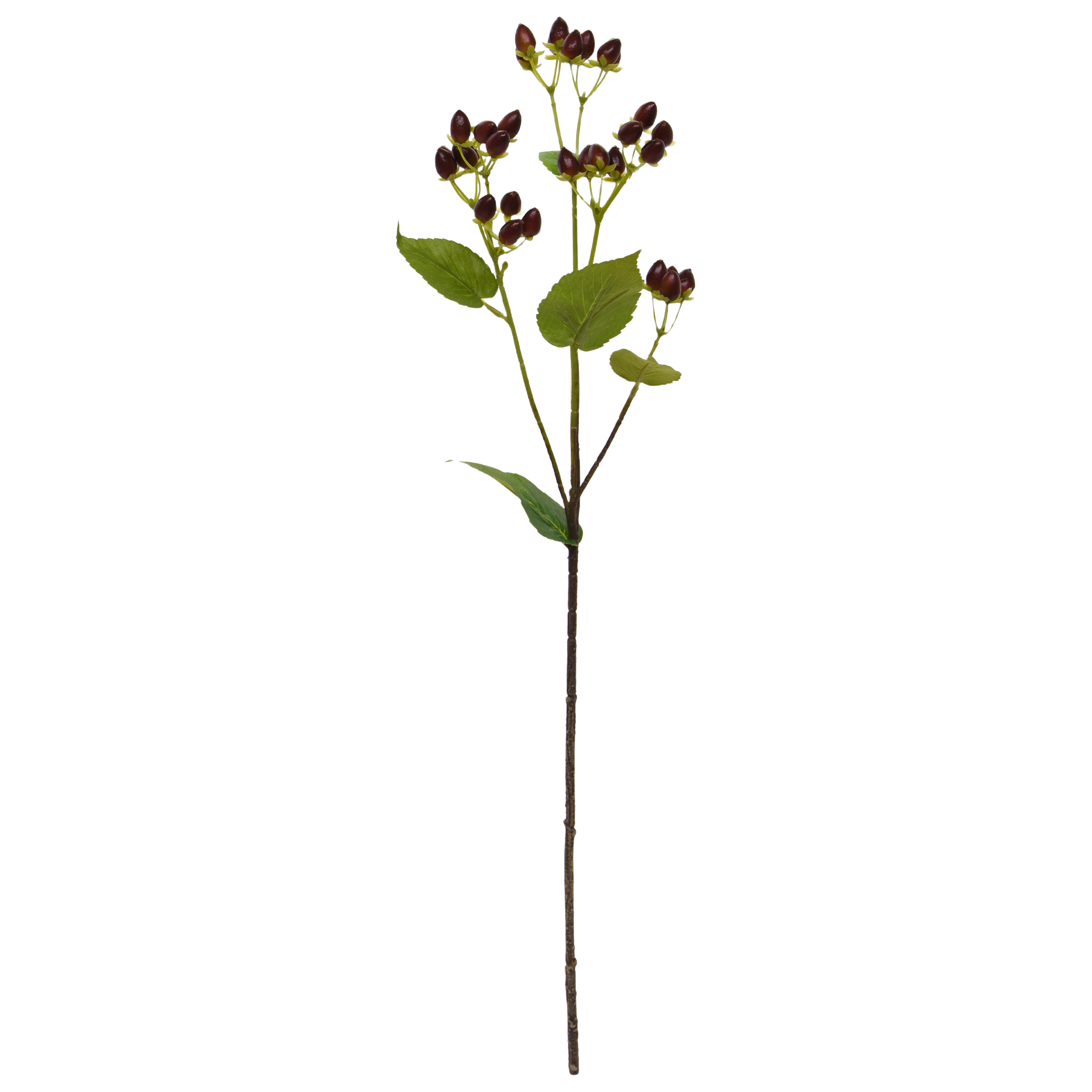 Hypericum Kunst bessentak 65cm