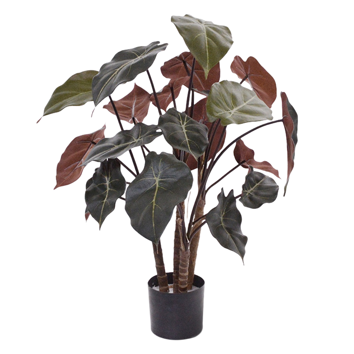 Syngonium kunstplant op hout 60cm
