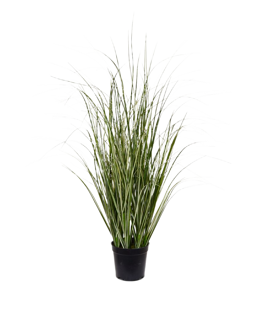 Kunst Rietgras plant 60cm - groen/creme