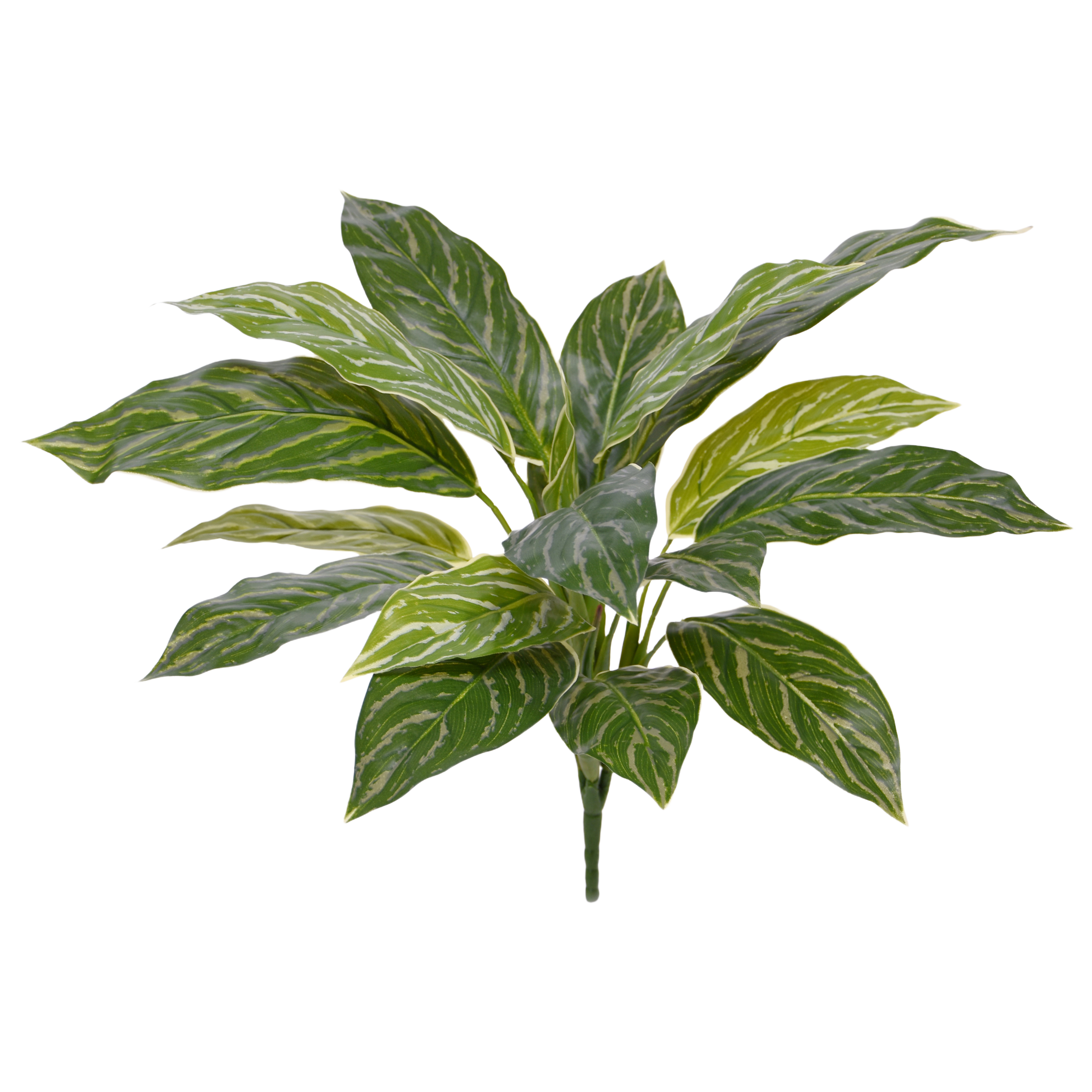 Aglaonema 40cm kunstplant RT