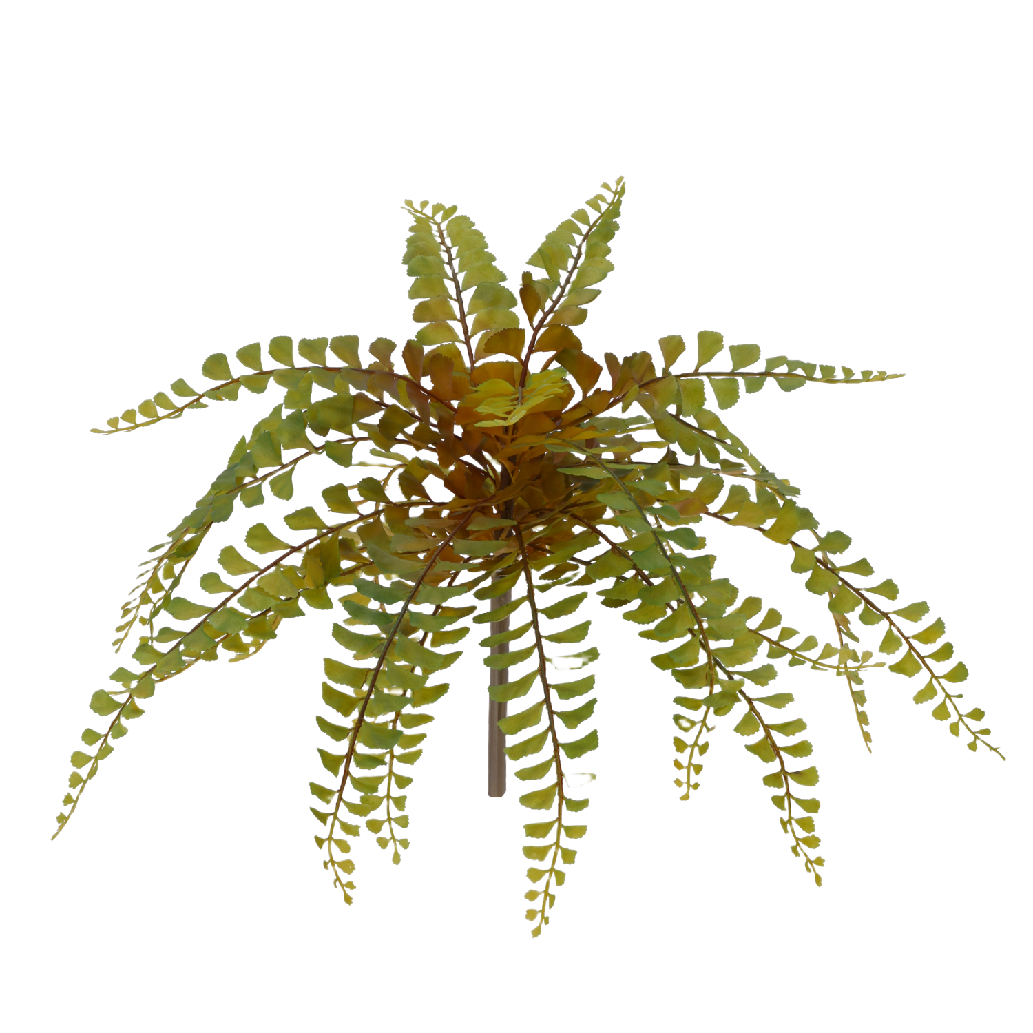 Adiantum varen kunstplant 40cm