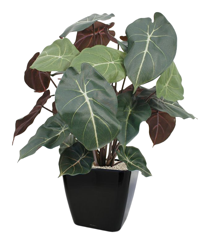 Syngonium kunstplant 60cm
