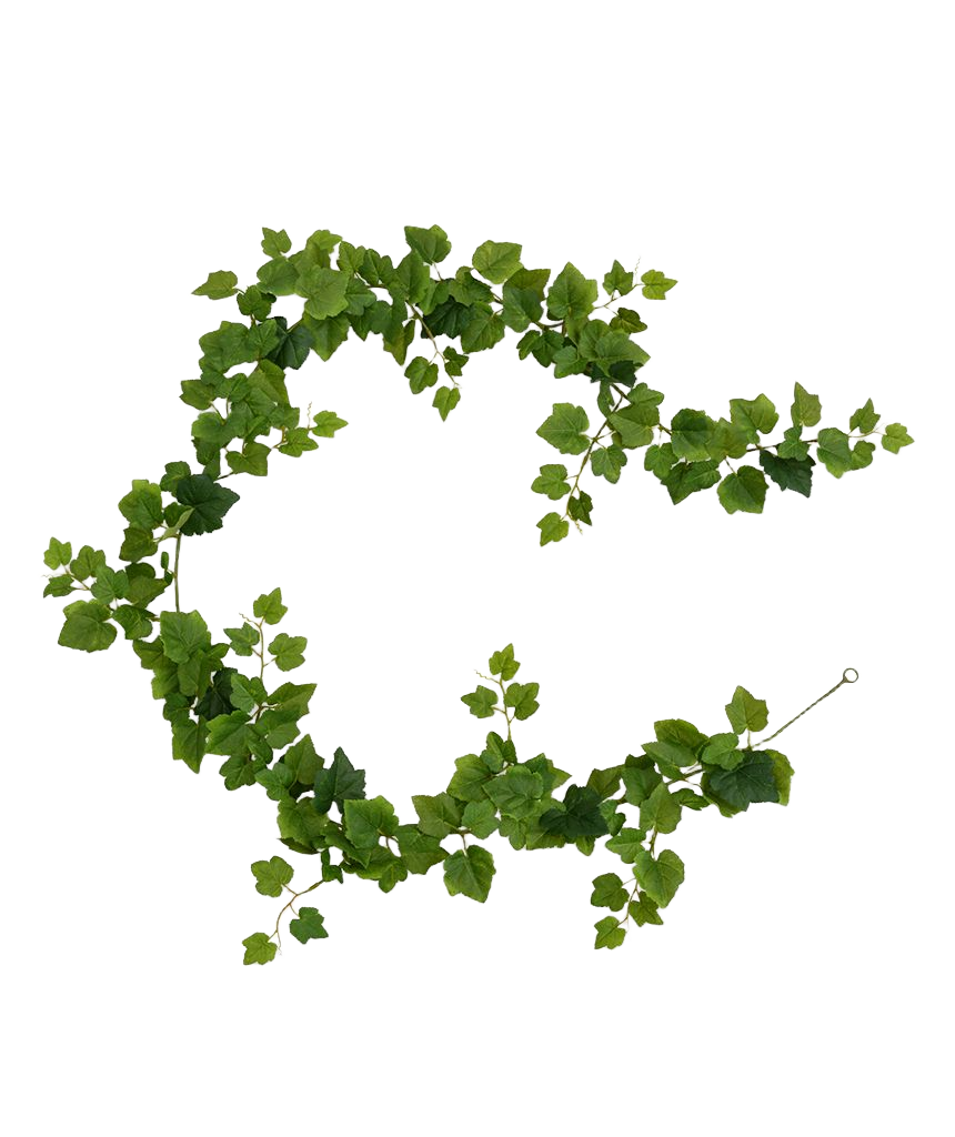 Druivenblad Guirlande kunsthanger 180cm - groen