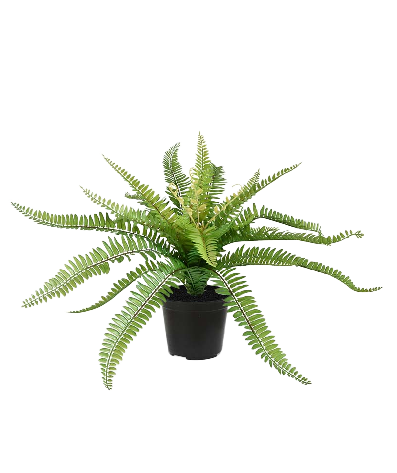 Boston Varen PL kunstplant 65cm in pot