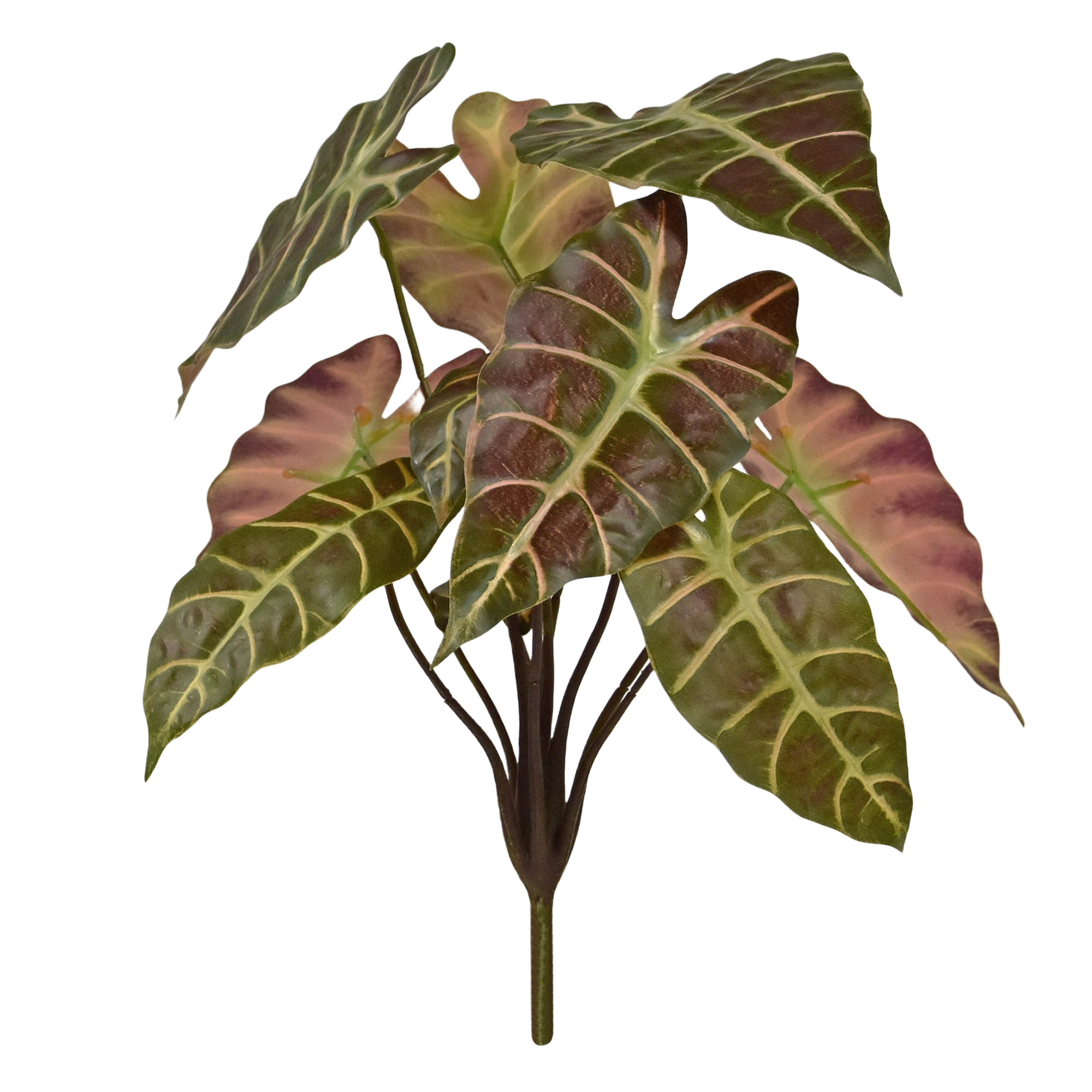 Alocasia Kunstplant 40cm Burgundy