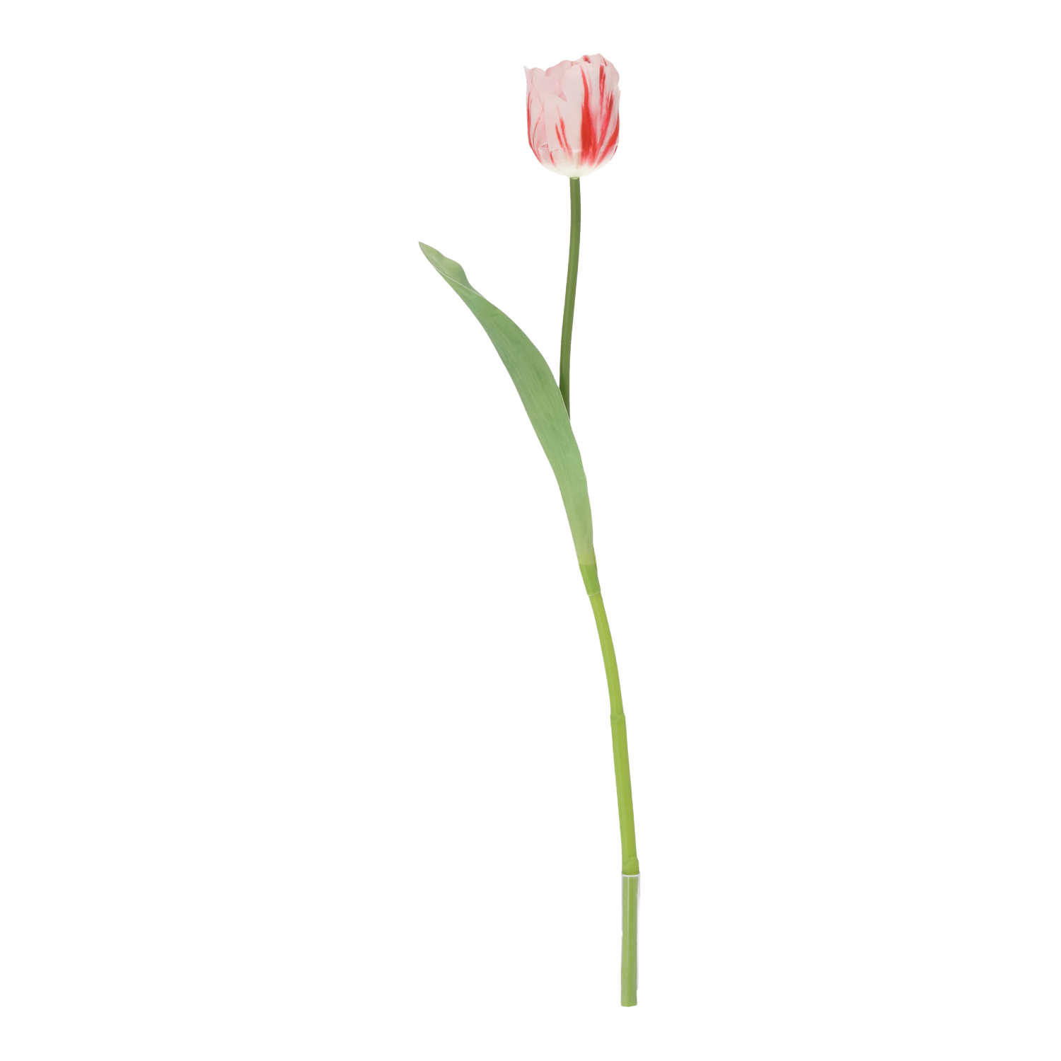 Tulpentak RT Kunstbloem 60cm Wit Rood