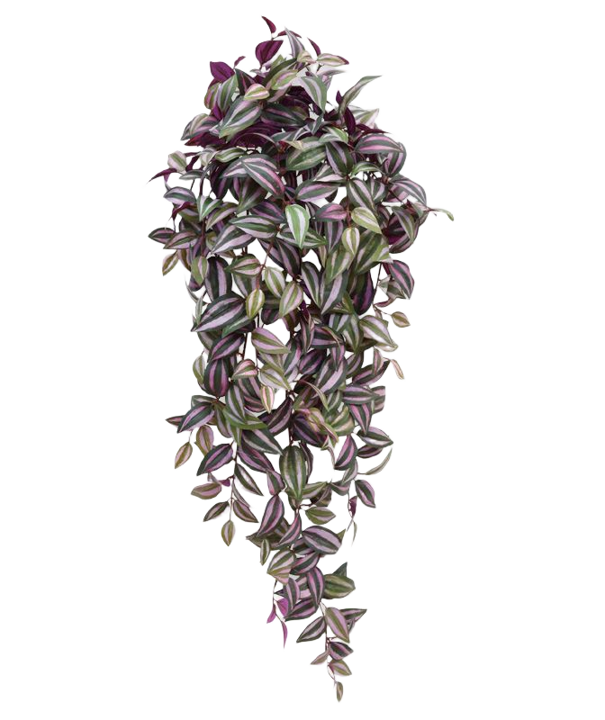Tradescantia kunst hangplant 100cm - paars