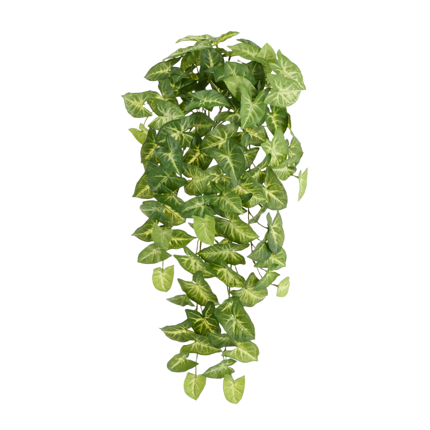 Syngonium Arrow Kunst Hangplant 60cm