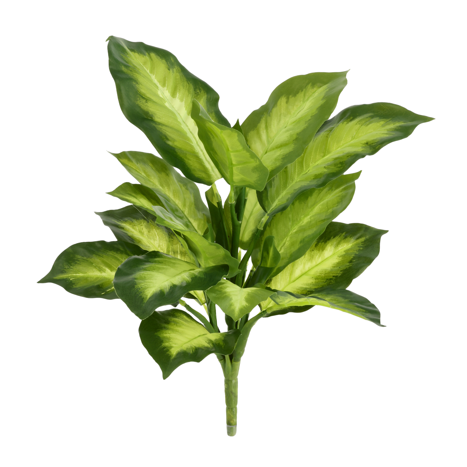 Dieffenbachia Kunstplant 33cm afbeelding 1