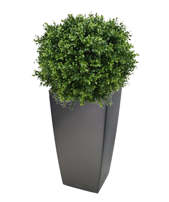 Buxus bol deluxe kunstplant 50cm