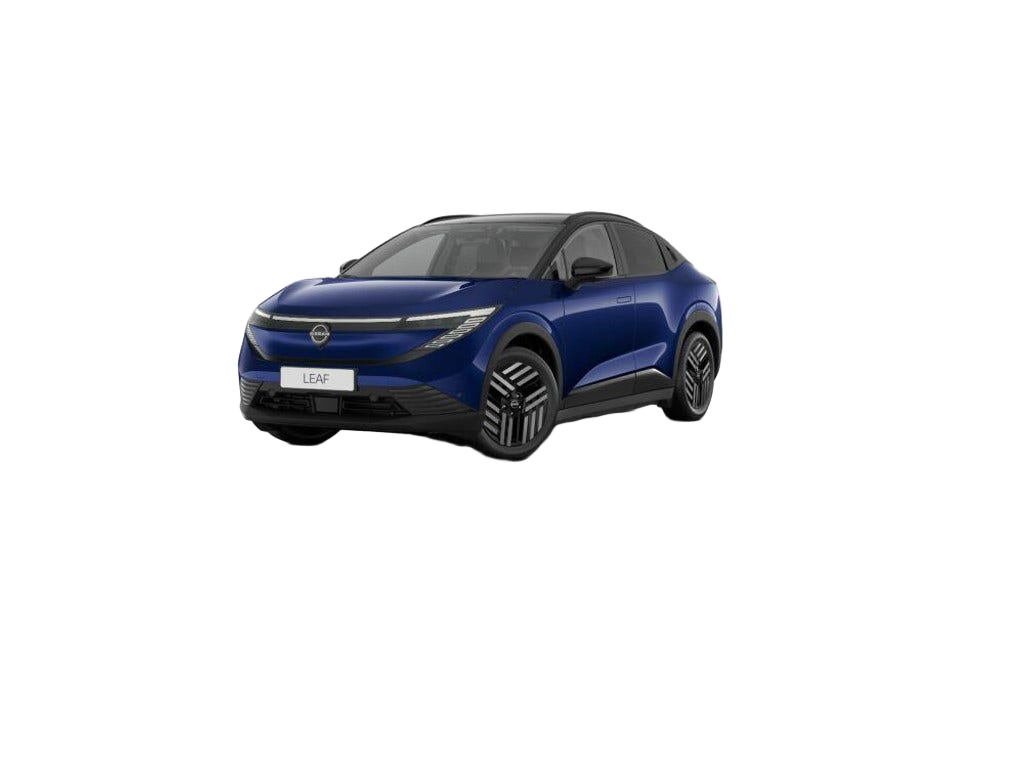 Nissan Leaf occasion
