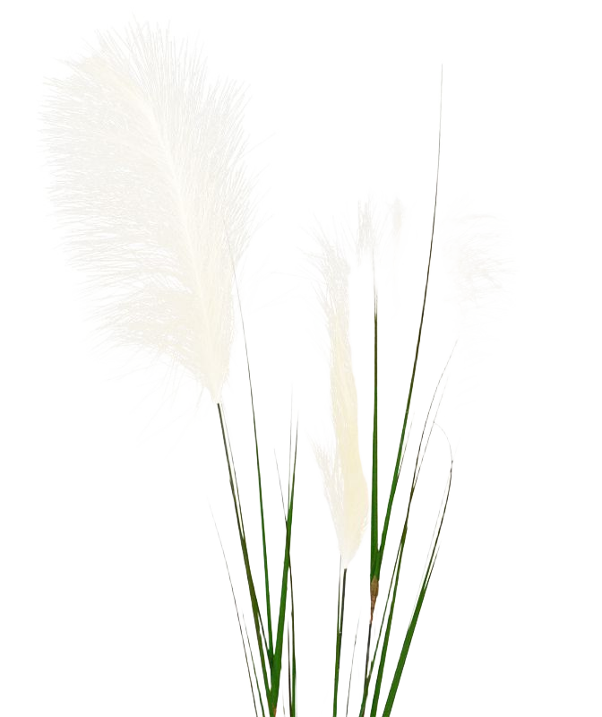 Pampasgras kunsttak 120cm - creme
