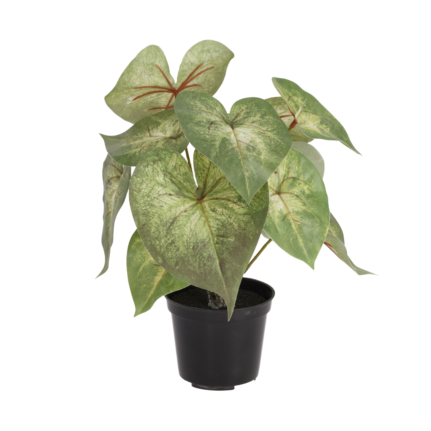 Syngonium Podophyllum kunstplant 28cm in kweekpot