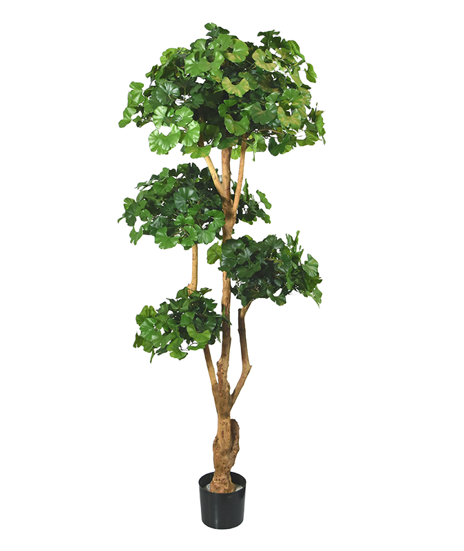 Ginko Bonsai deluxe kunstboom 170cm