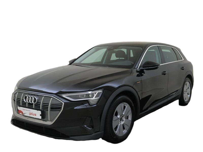 Audi e tron occasion
