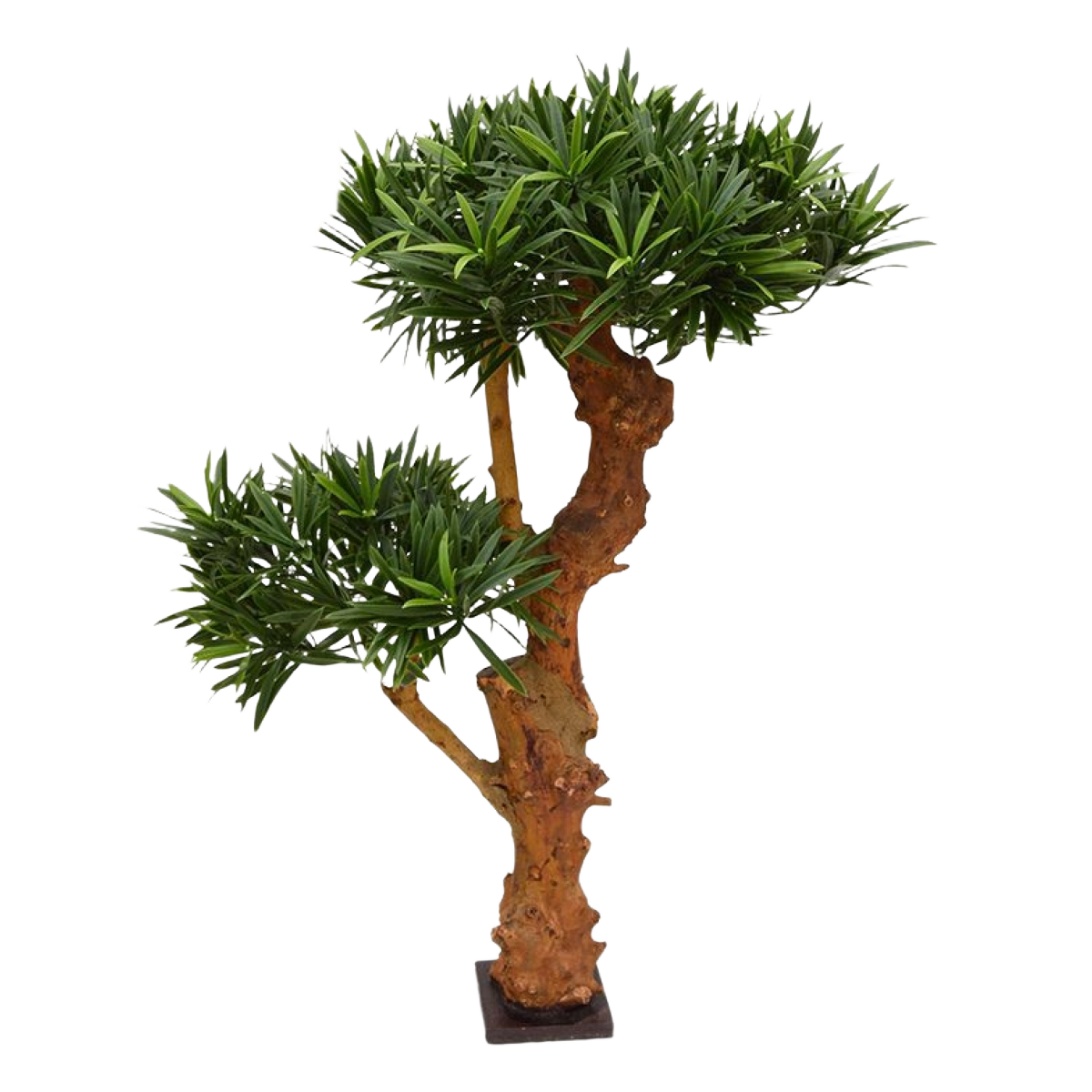 Podocarpus Bonsai deluxe kunstplant 65cm - UV bestendig