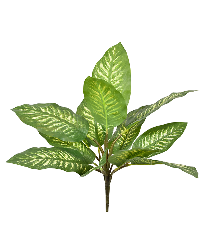Dieffenbachia Zebra kunstboeket 25 cm afbeelding