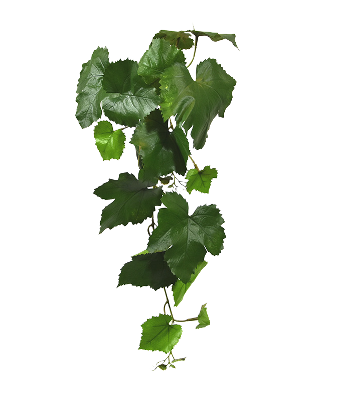 Kunst Druiventak 65cm