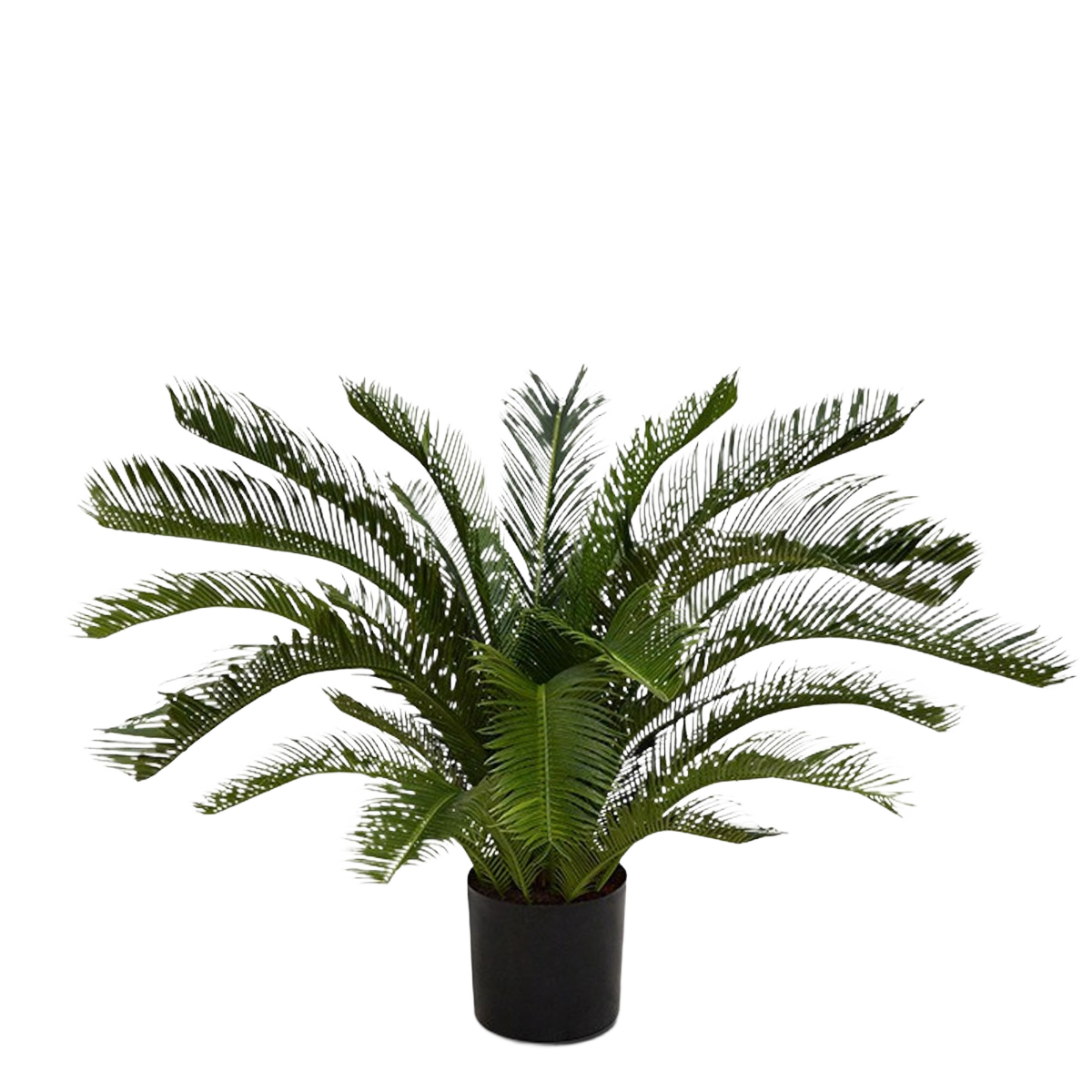 Cycas deluxe kunstpalm M 80cm - UV bestendig