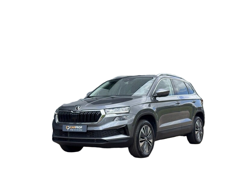 Skoda Karoq occasion