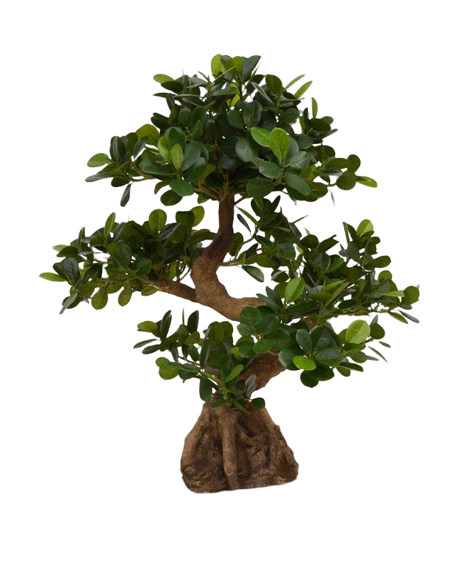 Panda Bonsai kunstboom op voet 70cm