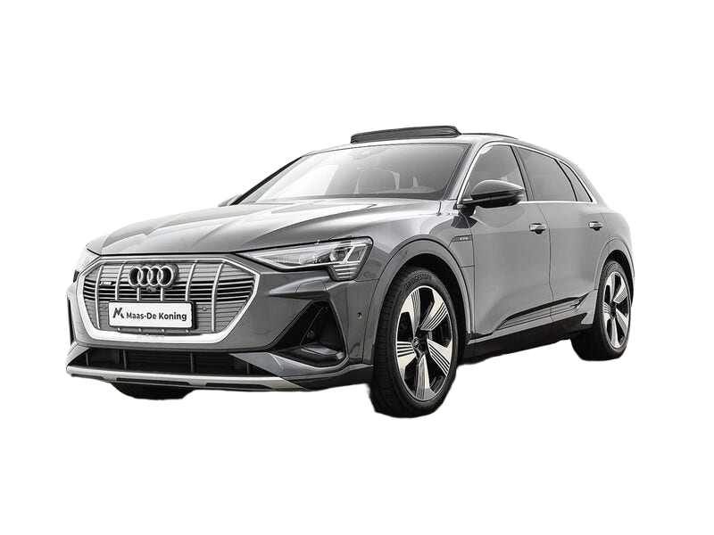 Audi e tron occasion