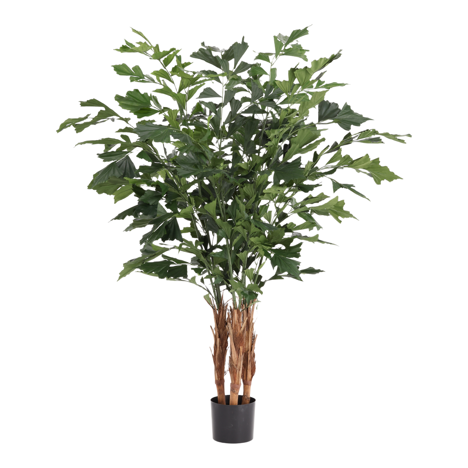 Fishtail Kunstpalm Deluxe 160cm