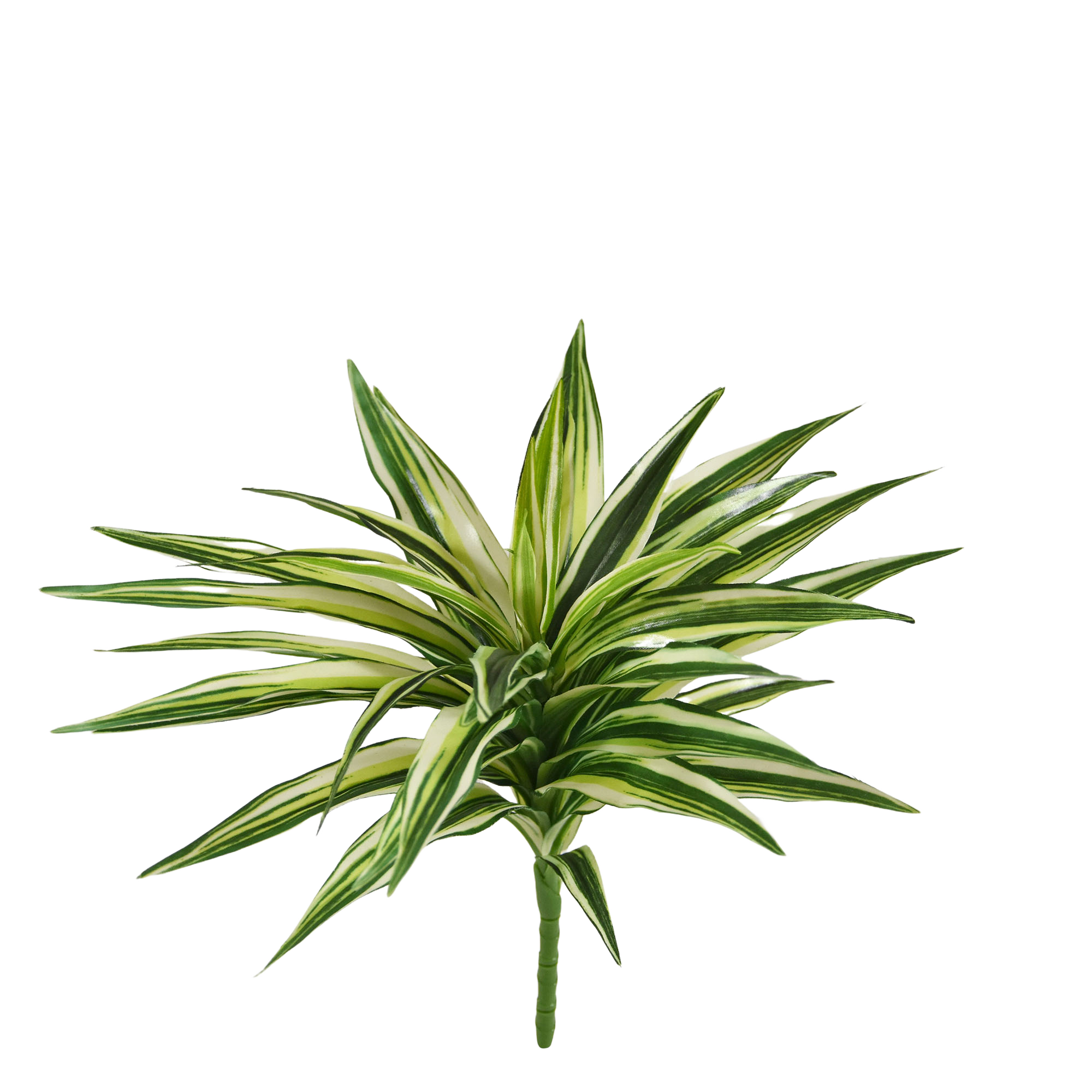 Draceana Kunstplant Bont 30cm