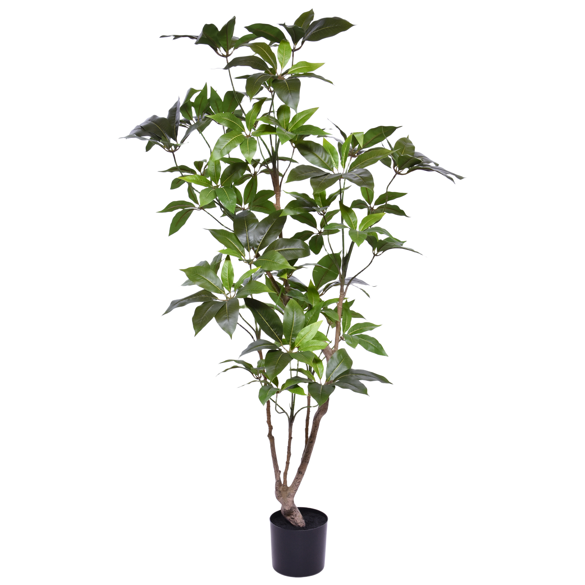 Schefflera Kunstboom 150cm
